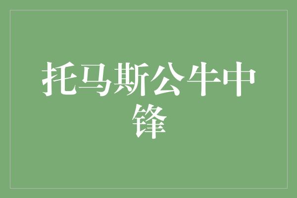 的人！托马斯公牛中锋 力拼篮球梦想的传奇之旅