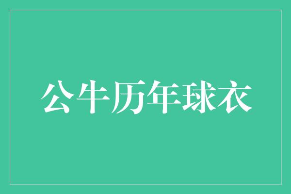 公牛历年球衣