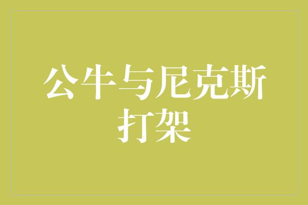 公牛与尼克斯打架