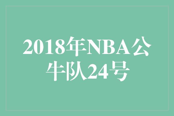 2018年NBA公牛队24号