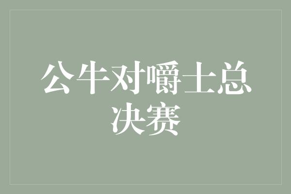 公牛队！热血激战！公牛对嚼士总决赛