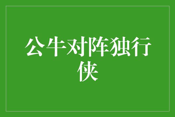 默契！力拼若干回合，公牛与独行侠的交锋注定激烈精彩