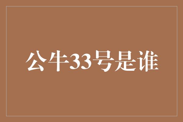 公牛33号是谁