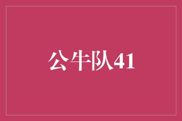 公牛队41