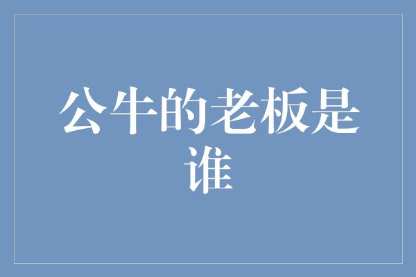 公牛队！揭秘公牛帝国的幕后英雄——公牛的老板是谁