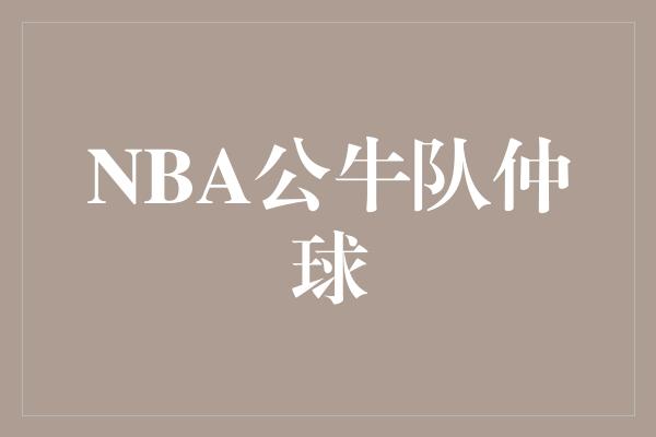 公牛队！重返荣耀之路——NBA公牛队重建篇