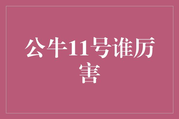 公牛队！公牛11号 谁是最厉害的玩家？