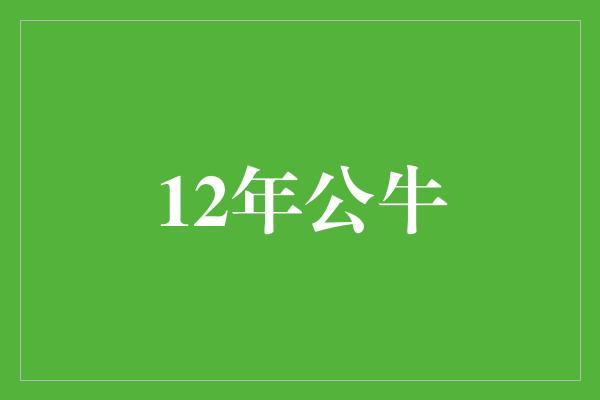 信心！12年公牛 不屈不挠的力量