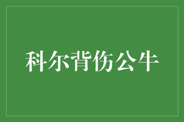 公牛队！科尔坚韧不拔，背伤不倒的公牛