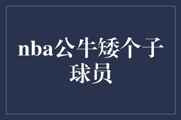 nba公牛矮个子球员