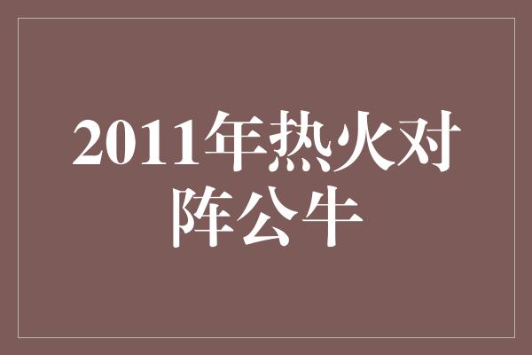 公牛队！2011年热火对阵公牛 传奇一役