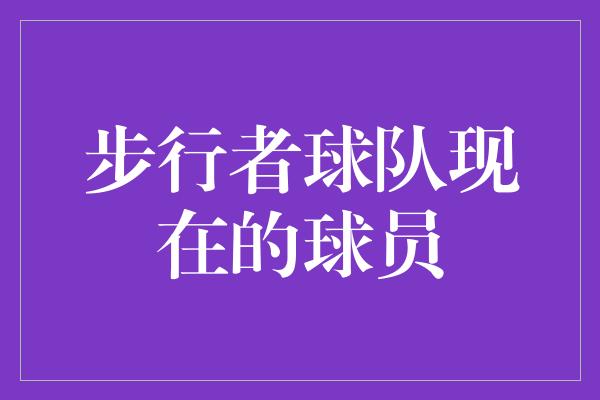 步行者球队现在的球员