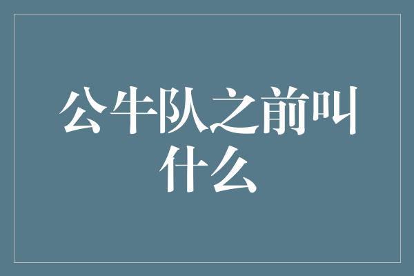 公牛队之前叫什么