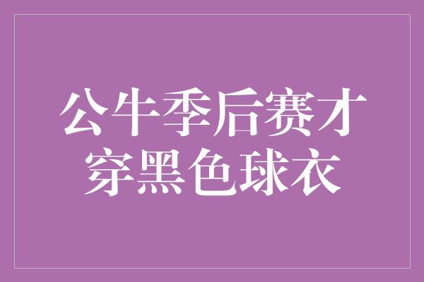 公牛季后赛才穿黑色球衣