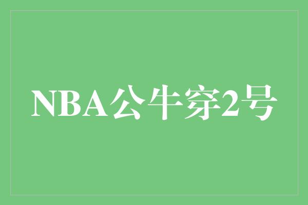 公牛队！传承荣耀，NBA公牛穿2号