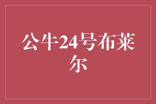 公牛24号布莱尔