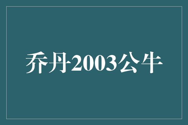 乔丹2003公牛