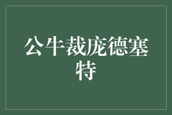 公牛队！重塑未来，公牛裁庞德塞特