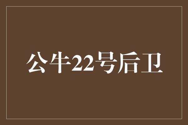 公牛队！公牛22号后卫 才华横溢，领袖气质展现无疑