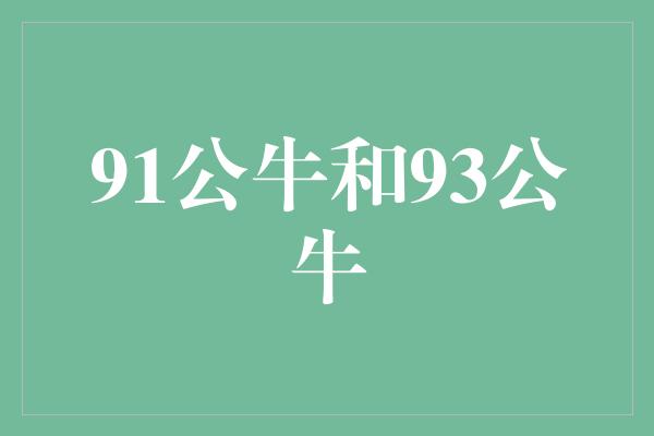 91公牛和93公牛