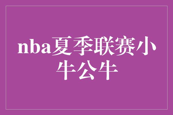 公牛队！激情碰撞！NBA夏季联赛小牛vs公牛，篮坛巅峰对决！