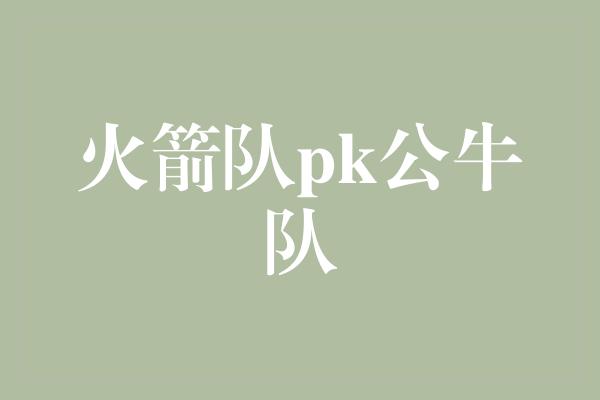 火箭队pk公牛队