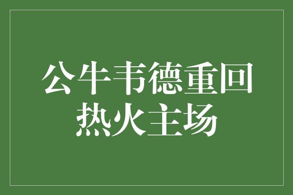 公牛韦德重回热火主场