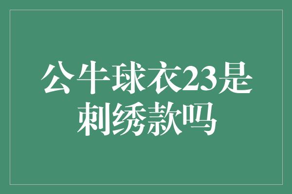 公牛球衣23是刺绣款吗