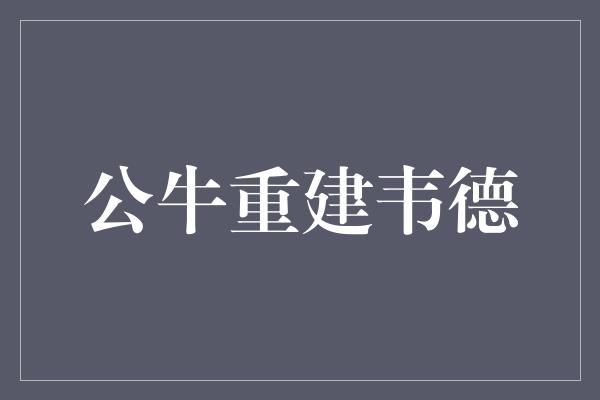 公牛队！公牛重建 韦德的离去与新篇章的开启