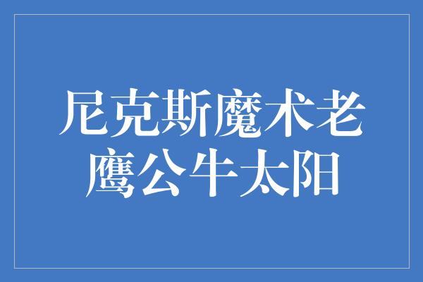 尼克斯魔术老鹰公牛太阳