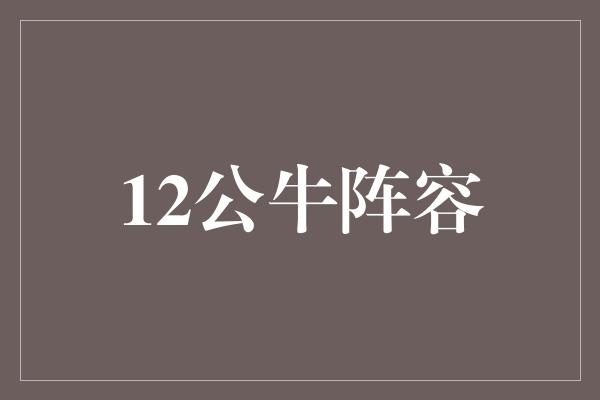 12公牛阵容