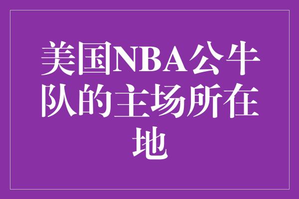 公牛队！芝加哥，NBA公牛队的主场，点燃了篮球狂热