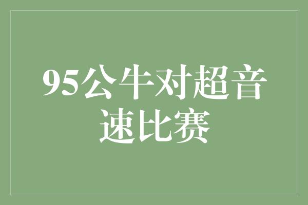 95公牛对超音速比赛