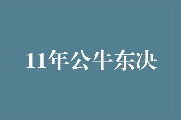 11年公牛东决