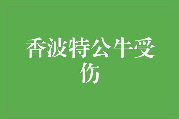 公牛队！香波特公牛在伤病中崛起