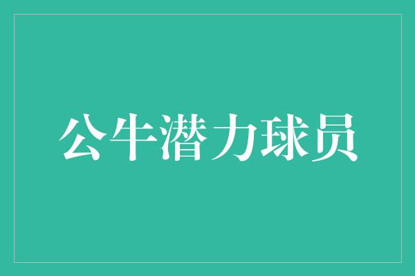 公牛队！公牛潜力球员 闪耀未来的篮球之星