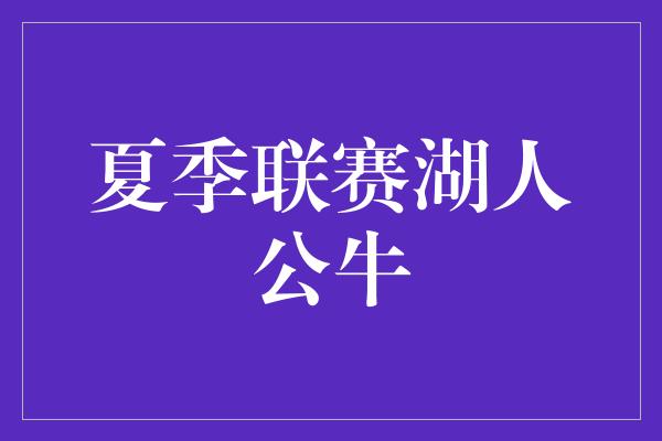 夏季联赛湖人公牛