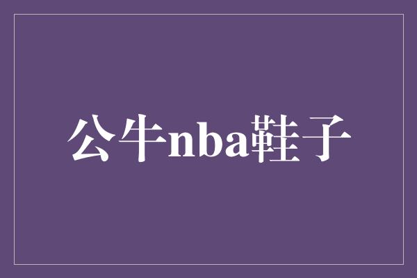 公牛nba鞋子