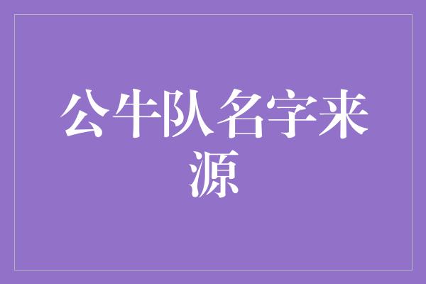 公牛队名字来源