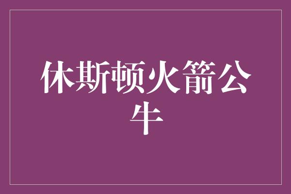 休斯顿火箭公牛