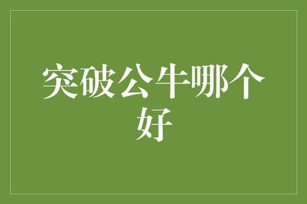 应对！突破公牛，挑战自我，迎接新的可能