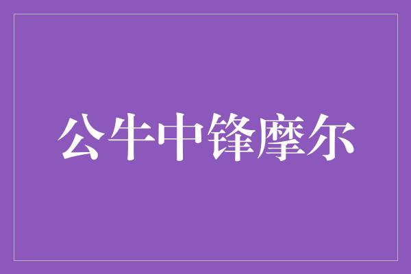 支柱！公牛中锋摩尔 力量与技巧的完美结合