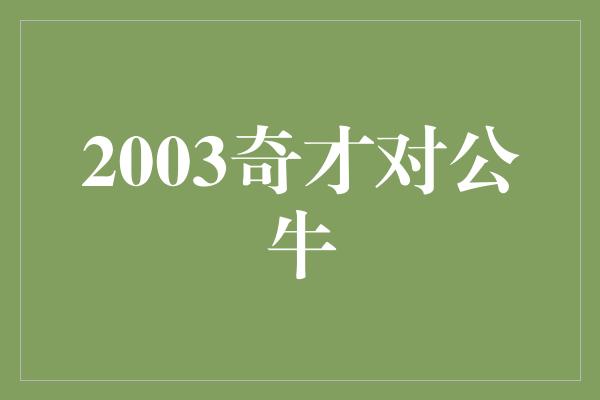 公牛队！2003奇才对公牛 经典对决中的传奇时刻