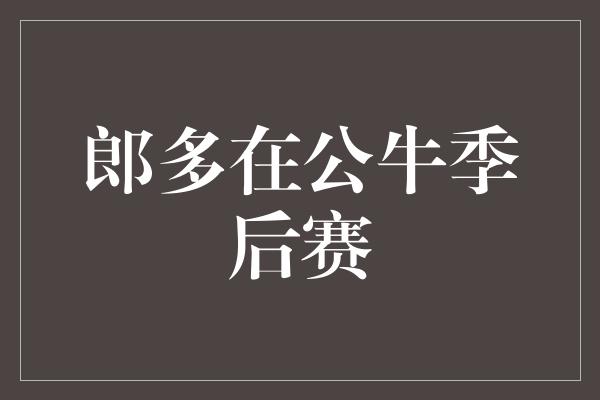 郎多在公牛季后赛