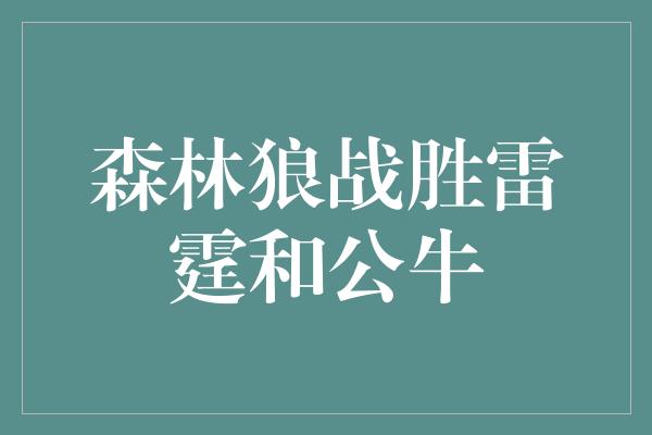 森林狼战胜雷霆和公牛