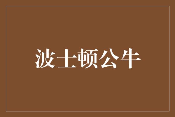 公牛队！勇往直前，波士顿公牛重焕荣耀