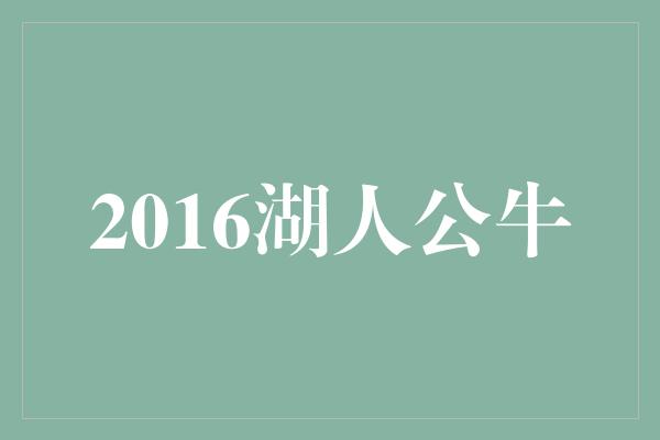 2016湖人公牛