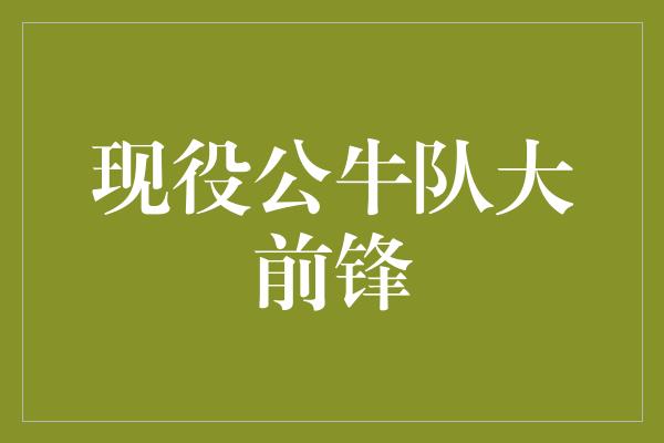 公牛队！雄风犹在！现役公牛队大前锋引领团队征战NBA