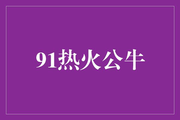 91热火公牛