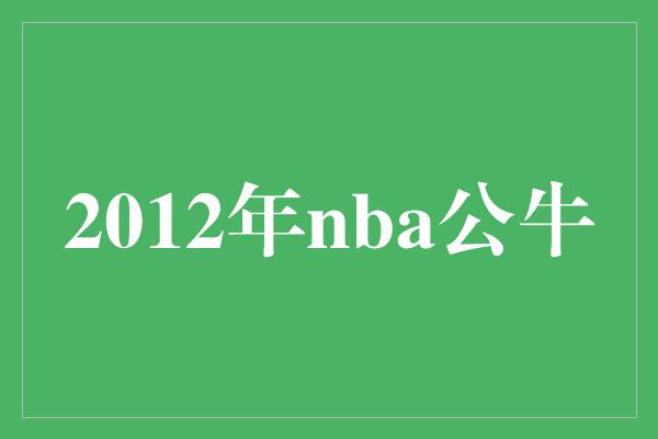 2012年nba公牛